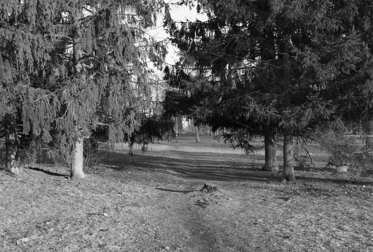 Image-normal