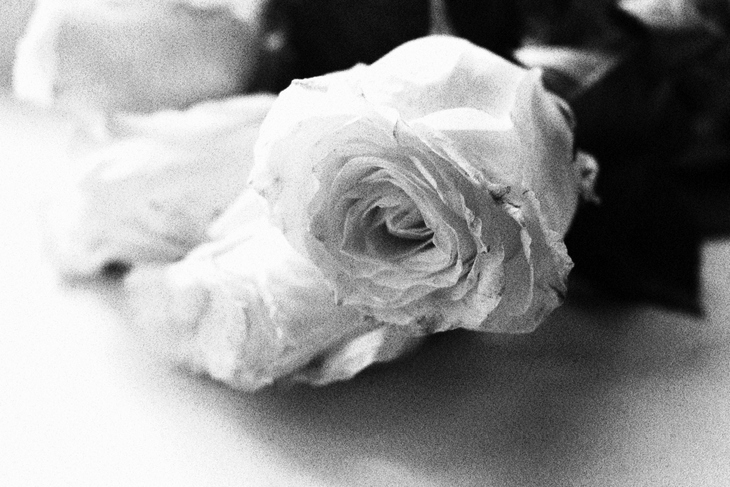 Image-normal