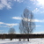 Image-square_50