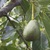 Image-square_50