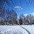 Image-square_50