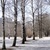Image-square_50