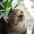 Image-square_50
