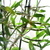 Image-square_50