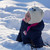Image-square_50