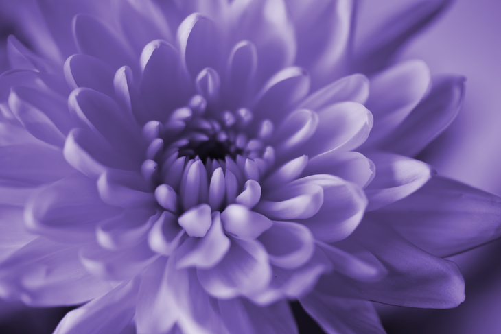 Image-normal