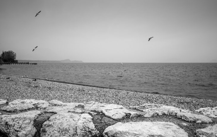 Image-normal