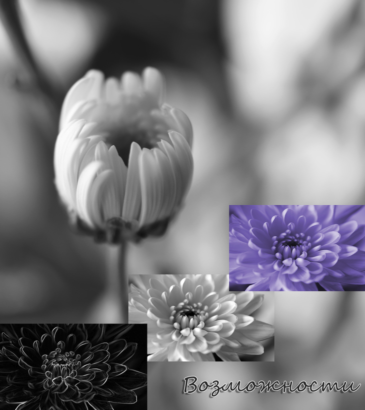 Image-normal