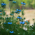 Image-square_50