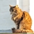 Image-square_50