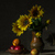 Image-square_50