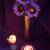 Image-square_50