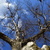 Image-square_50