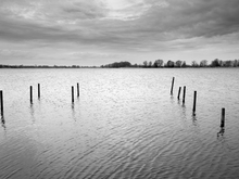 Image-rectangle_220_165