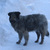 Image-square_50