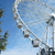 Image-square_50