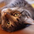 Image-square_50