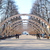 Image-square_50
