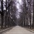 Image-square_50