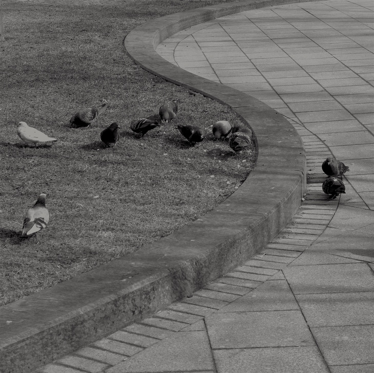 Image-normal