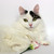 Image-square_50