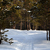 Image-square_50