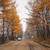 Image-square_50