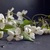 Image-square_50