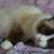 Image-square_50