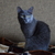 Image-square_50