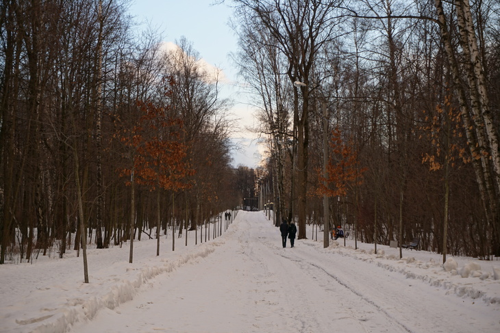 Image-normal