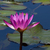 Image-square_50