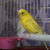 Image-square_50