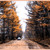 Image-square_50