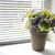 Image-square_50