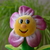 Image-square_50