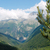 Image-square_50