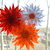 Image-square_50