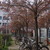 Image-square_50