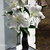 Image-square_50