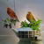 Image-square_50