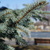 Image-square_50