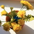 Image-square_50
