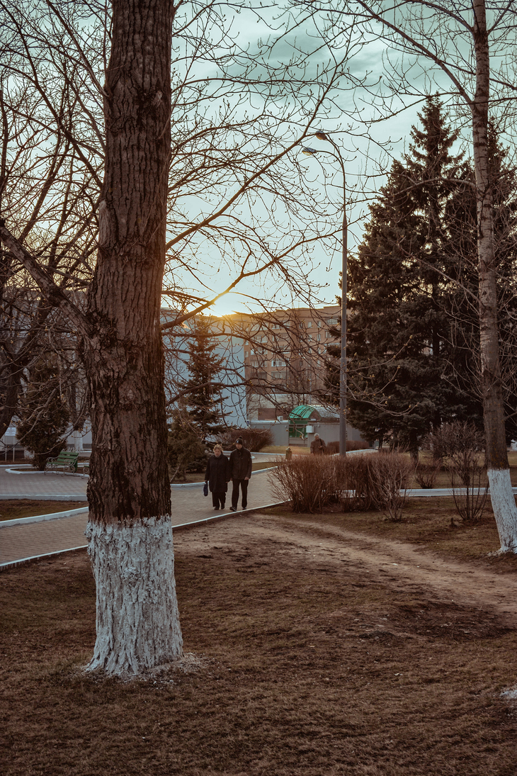 Image-normal