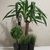 Image-square_50