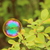 Image-square_50
