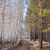 Image-square_50