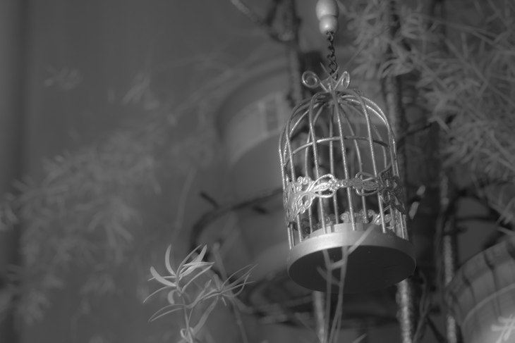 Image-normal
