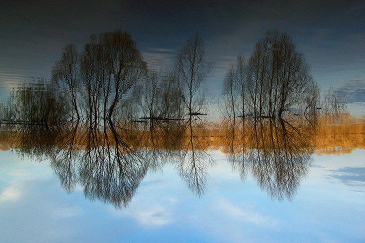 Image-normal