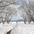 Image-square_50